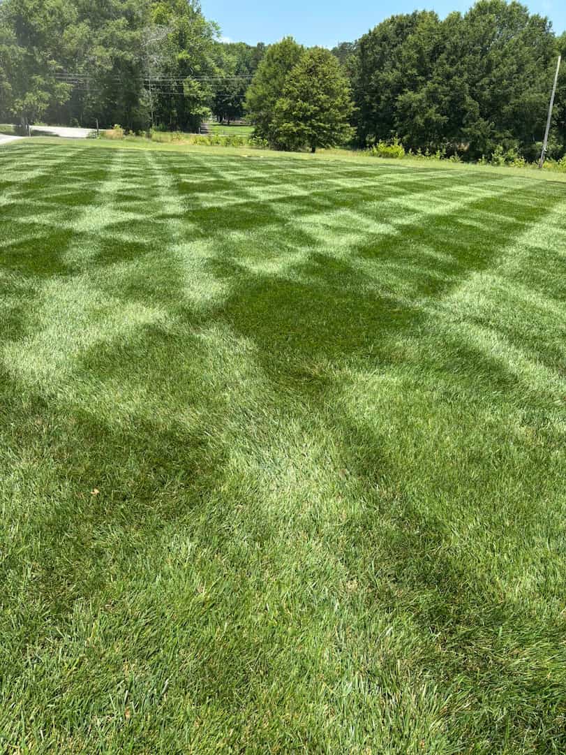 services Professional Lawn Care Programs in Southeast Tennessee & Northern Georgia