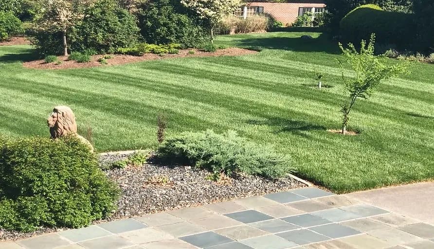 about turfscapes