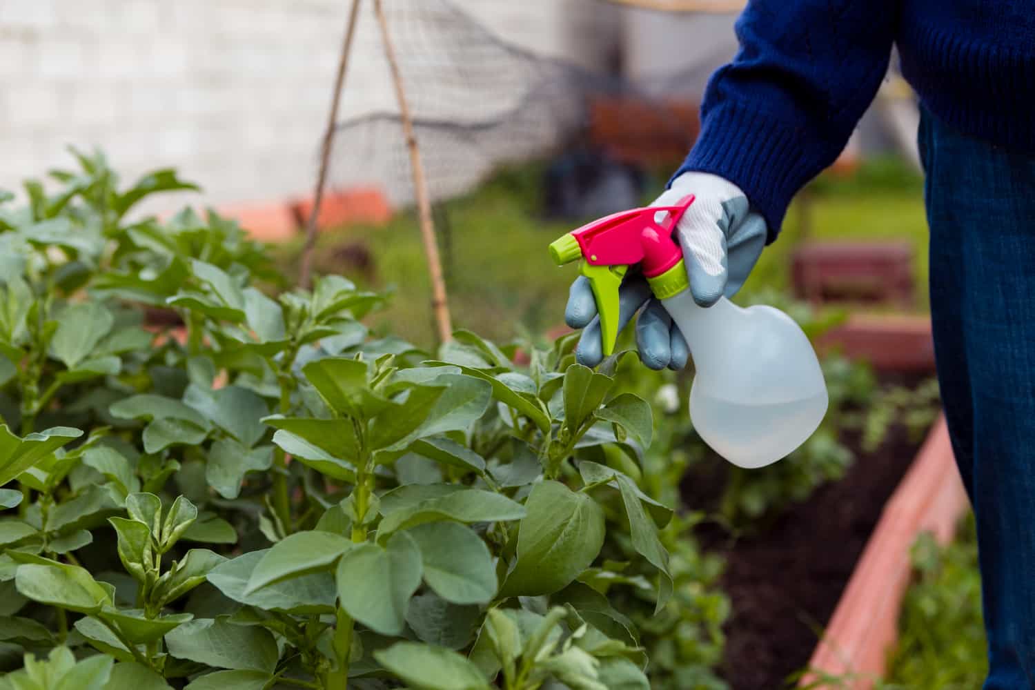 Ornamental Bed Weed Control