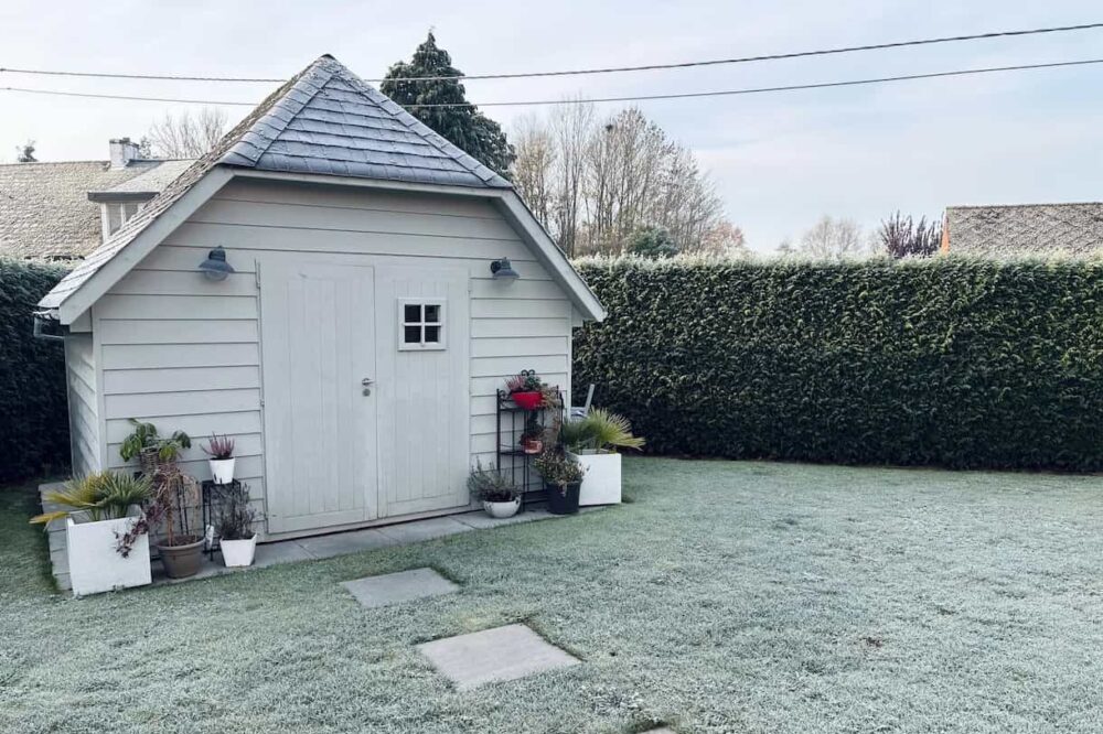 Winter Care That Builds Stronger Lawns for Spring