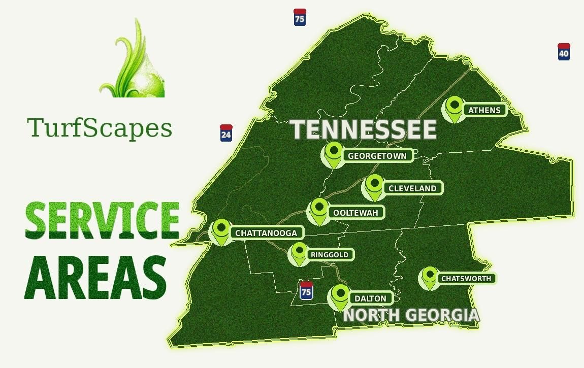 Service Areas