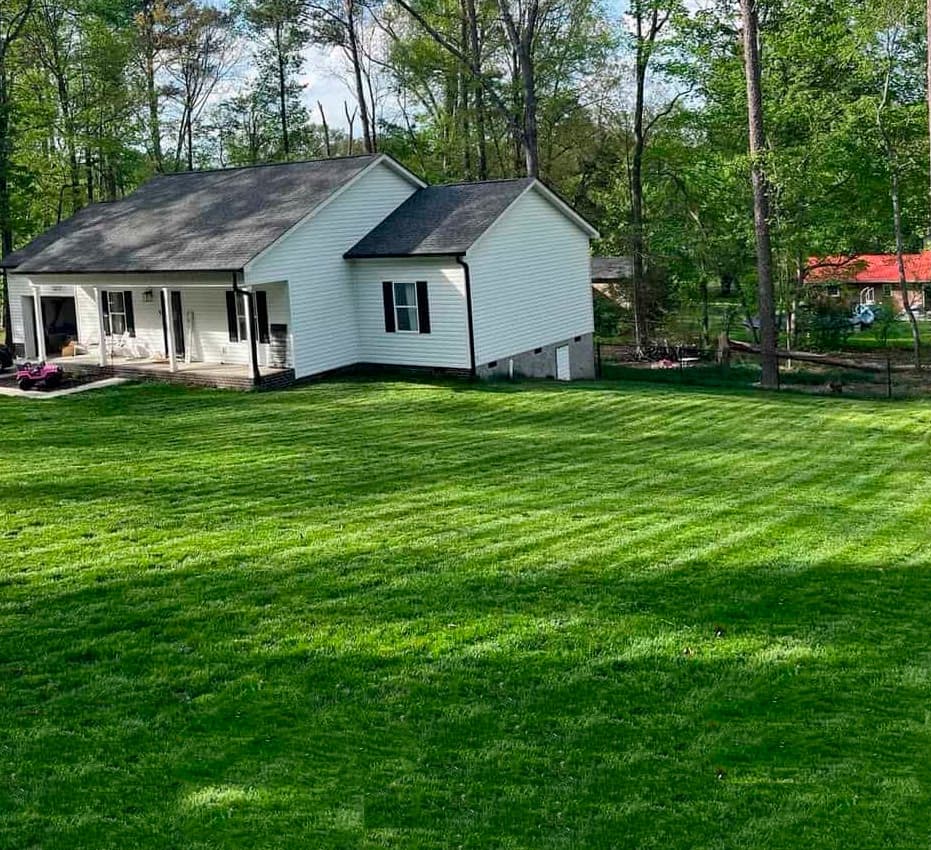 turfScapes-Transforms-Lawns-1
