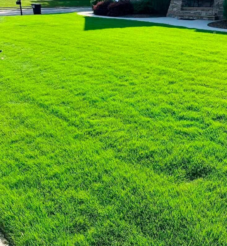 turfScapes-Transforms-Lawns--3