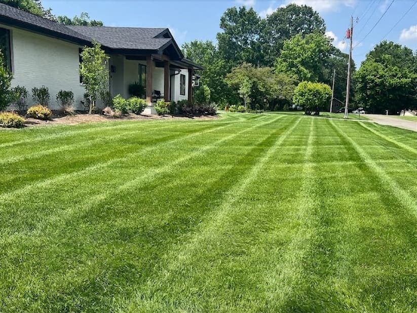 About TurfScapes of Tennessee